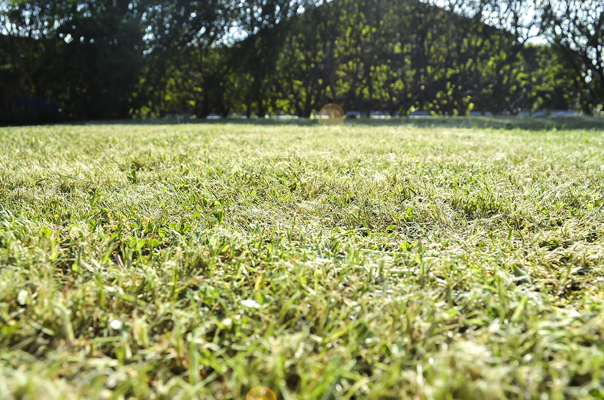 sommer-5