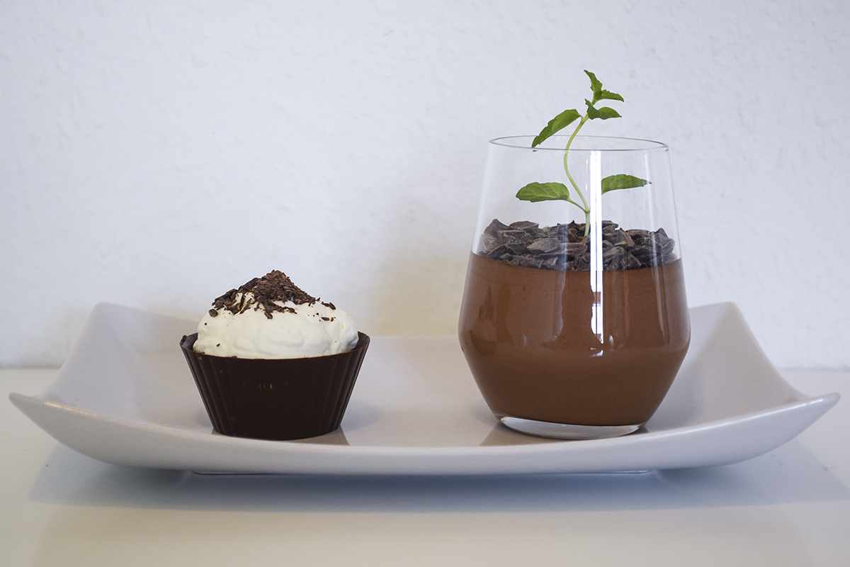 chokolademousse-som-plante-1