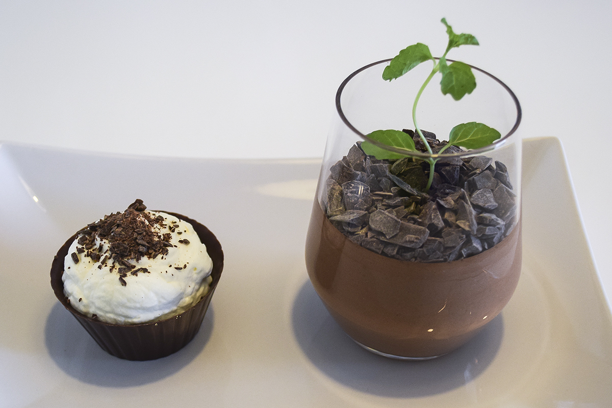 chokolademousse-som-plante-2