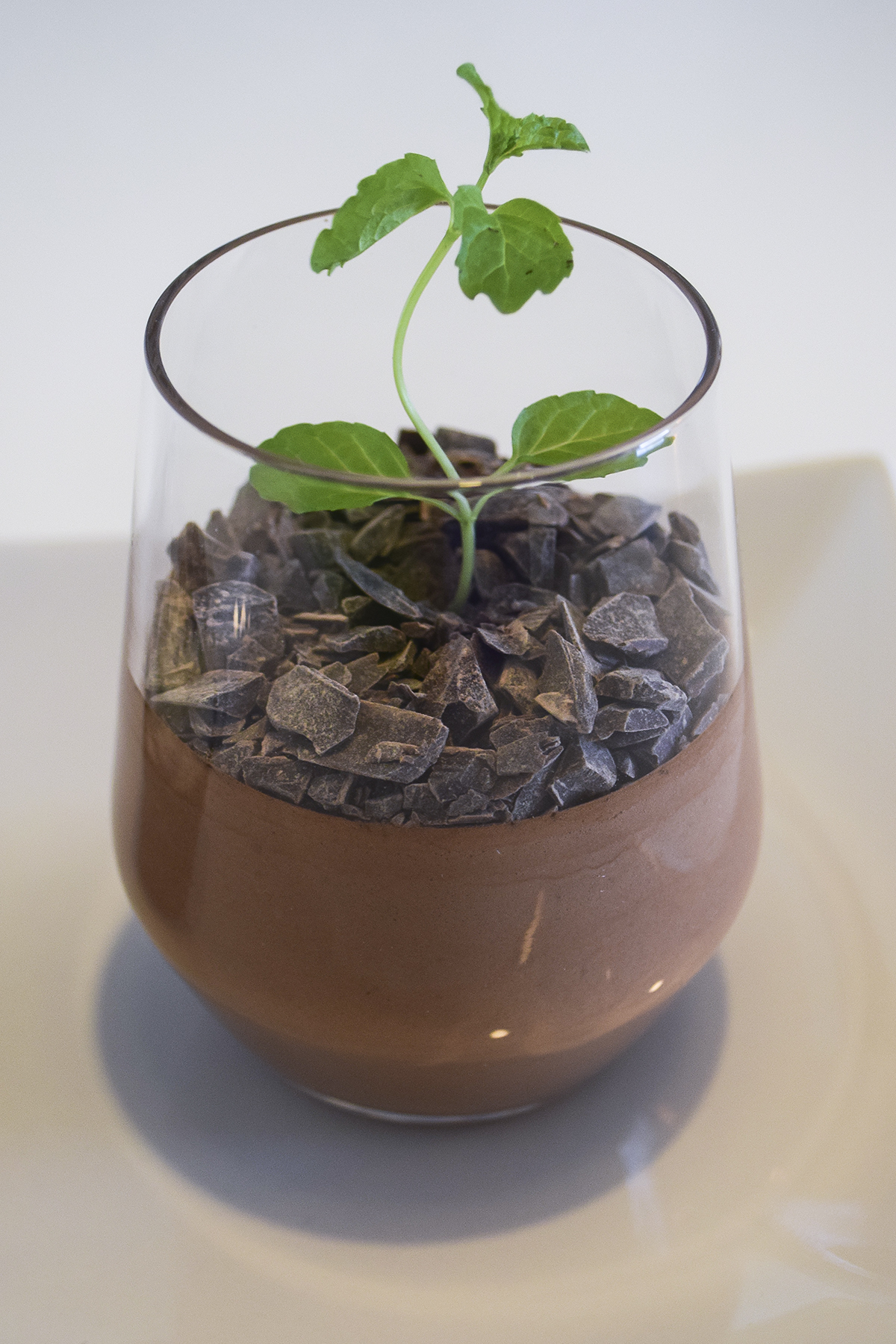 chokolademousse-som-plante-3